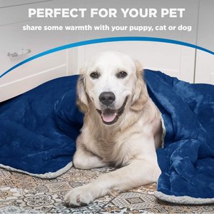 Heated Throw Blanket /Electric Throw Blanket 50"X 60" FROM Ainik - Product Image 6