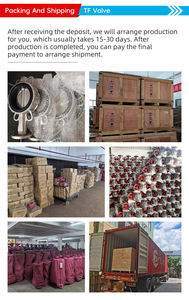 TF 100mmダクタイル鉄製ボディBS 5163 PN16 8in <span class=keywords><strong>200mm</strong></span>ダクタイル鉄製レジリエントシートライジングステムゲートバルブハンドホイール付き - Product Image 5