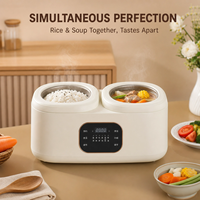 Casserole électrique intelligente double compartiment 3,4 L carrée, multifonctionnelle, portable, pour la cuisine à domicile et les appartements, OEM