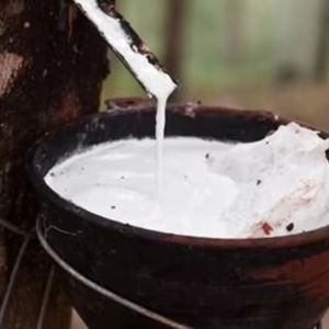 Revestimiento Protector de Grado Industrial de Látex Líquido de Caucho, Resistente a la Corrosión Química, Retardante de Llama, Calidad Alemana - Product Image 1