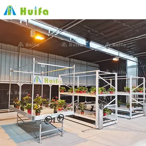 New Type Growing Greenhouse Vertical Grow Rack Mehrstufige Rollbank für den Innen anbau