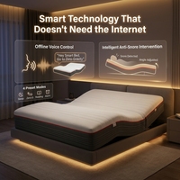 Matelas électrique intelligent pour soins à domicile avec intervention anti-ronflement, mode d'aide au sommeil, commande vocale, positions mémoire, directement de l'usine