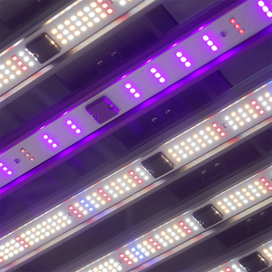 Luces LED de Cultivo de Espectro Completo para Invernadero, Resistentes al Agua, Lámpara LED de Espectro Completo para Cultivo Hidropónico de Vegetales, Frutas y Flores - Product Image 6