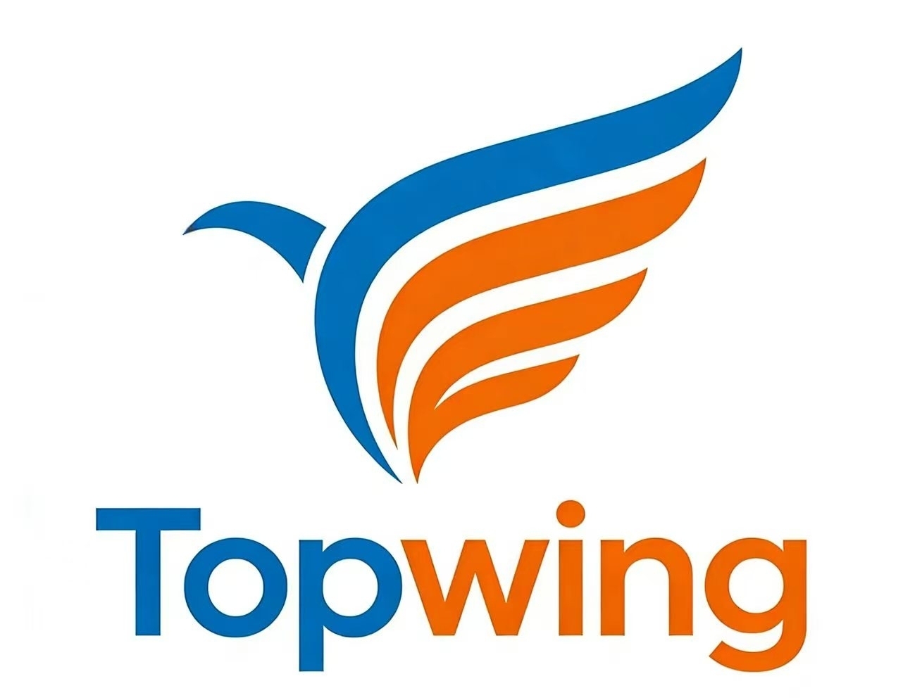 Shanghai Topwing Medtech Co., Ltd. logo