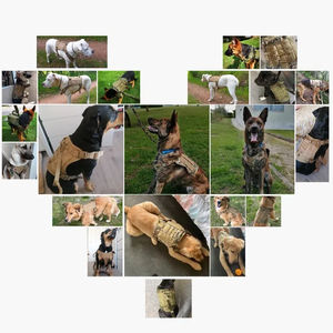 Chaleco de Lujo para Perro, Arnés Táctico de Nailon Resistente, Conjunto de Correa con Diseño Personalizado de Animales para Perros Medianos a Grandes - Product Image 6