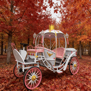 รถม้าไฟฟ้าสุดหรูแบบราชวงศ์ สำหรับ 4-6 คน เหมาะสำหรับสถานที่ท่องเที่ยว - Product Image 1