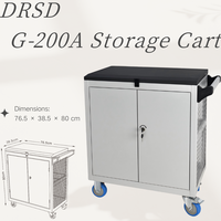 Armoire mobile de rangement pour outils et pièces de réparation automobile G-200A