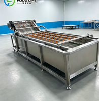 Productielijn voor het matchen van bubbelspoelmachines voor een complete groenteverwerkingsketen