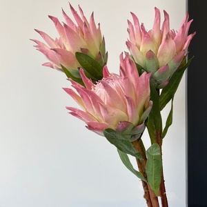 Flor Artificial de Protea de Cabeza Grande de Alta Calidad, Flor Tropical Artificial de Tela de Seda para Decoración del Hogar y Bodas - Product Image 5