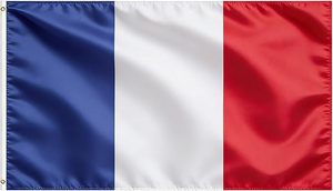 Drapeau national français personnalisé 3x5 pieds 100% polyester imprimé numériquement, drapeau de supporter français pour les événements sportifs en plein air - Product Image 3