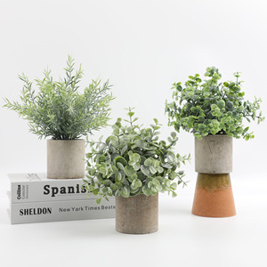 กระถางต้นไม้<span class=keywords><strong>ใบ</strong></span>ยูคา<span class=keywords><strong>ล</strong></span>ิปตัสโรสแมรี่ - Product Image 3