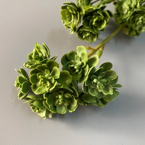 New Realistic Touch Soft Plastic Long-Stem Succulent Plant Artificial Berry <b>Branch</b> <b>for</b> Mother's Day Wholesale Home <b>Decoration</b> - Product Image 5