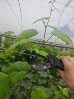 Outil de ligature rapide réutilisable pour plantes |   Nouvelle machine à ligaturer pour jardin 2026 |   Pistolet à lier pour économiser le travail dans les vergers et les serres