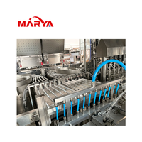 Ligne de remplissage de seringues préremplies intégrée Marya Sterile Isolator pour traitement aseptique avec ports pour gants et filtration HEPA