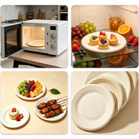 Assiette Ronde Jetable en Pulpe de Canne à Sucre Biodégradable pour Pique-nique, Barbecue, Fête, Plat à Dessert, Vaisselle de Qualité Alimentaire, Vente en Gros