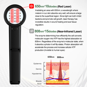 Appareil de thérapie laser froid de classe 4 pour le soulagement de la douleur et la réparation des tissus profonds chez les chevaux et les chiens - Product Image 2