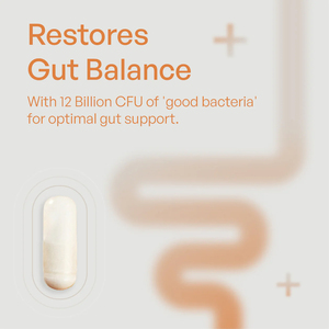 Mezcla Prebiótica y Probiótica Personalizada para una Salud Intestinal Óptima - Servicio OEM/ODM para la Salud Intestinal y el Apoyo a la Distensión Intestinal Hipertráctica (DIH) - Product Image 2