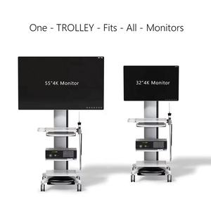 सर्वश्रेष्ठ निर्माता मेडिकल पोर्टेबल लेप्रोस्कोपी सिस्टोस्कोप एंडोस्कोपी कैमरा सिस्टम - Product Image 2