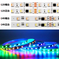 Bande LED adressable TM1814 5050 RGBW DC24V 12V 10mm CRI90 Magic Color SPI Paysage IP20 10 Pixel/m