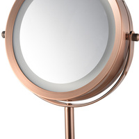 Mirror Distributor Led Cosmetic 10X Magnifying Makeup Table Mirror With Double Sides Light