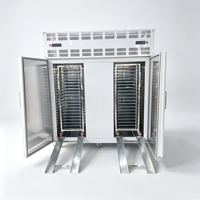 Dubbele deur ultra-lage temperatuur automatische snelvriezer -70 plaatvriezer luchtgekoelde machine voor dumplings en wontons
