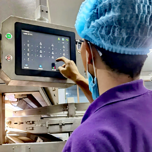 Graines de citrouille blanche fraîches biologiques en gros avec coquilles, taille 11 cm, provenant d'une usine chinoise - Aliments biologiques de haute qualité. - Product Image 5