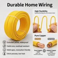 Câble électrique en cuivre massif BV BVV NH-BV 450V 750V isolé PVC pour la construction de maisons