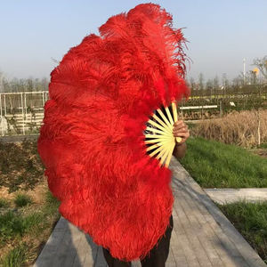 Éventail en plumes d'autruche douces et volumineuses pour économiser sur les dépenses, idéal pour le carnaval et les processions, les spectacles sur scène, le cinéma et la photographie, la collection et la décoration - Product Image 3