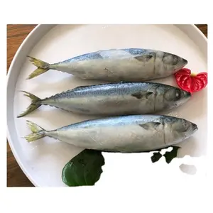 Gefrorene stöcker yellowtail ganze runde fisch