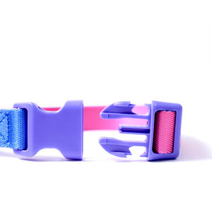 Emo-Correa con patrón colorido multicolor para perro, Correa suave y duradera que absorbe los golpes, para correr y caminar - Product Image 5