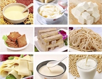 Haute productivité Soja Tofu Paneer faisant la machine soja lait Tofu pouding machine Tofu machine Commercial lait de soja fabricant