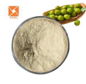 Polvere di Succo di Prugna Verde Naturale, Concentrato Puro di Frutta in Polvere - Product Image 2