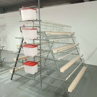 Cage à poules de type A à haute capacité, 4 niveaux, galvanisée, système de ponte automatique pour les élevages avicoles