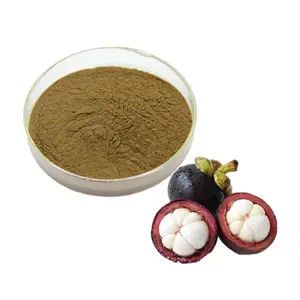 Natuurlijke Hoge Kwaliteit 10% 20% Mangosteen Extract Poeder Mangostin