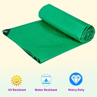 Lona Impermeable con Revestimiento de PE, Protección UV, Resistente al Viento, de Alta Resistencia, Multiusos, Económica, Verde, para Niños y Niñas