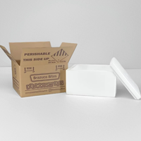 Boîte isotherme personnalisée en mousse EPS pour l'emballage de la chaîne du froid, aliments surgelés, fruits de mer, viande, vaccins, expédition, boîte d'isolation thermique