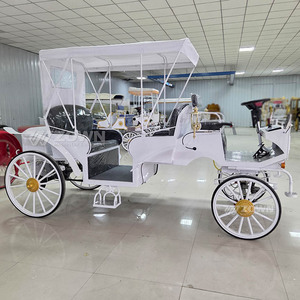 Carroza Eléctrica para Turismo, con Motor a Batería, para Bodas, Lugares Turísticos, Parques de Atracciones, Jardines - Product Image 3