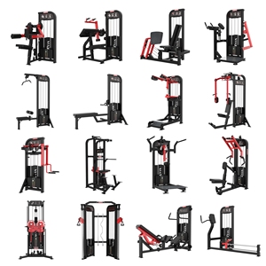 Appareils à charge libre <span class=keywords><strong>pour</strong></span> exercices <span class=keywords><strong>de</strong></span> dos et <span class=keywords><strong>abdominaux</strong></span> : Machine à hyperextension 45°, Banc abdominal, Chaise romaine, Équipement sportif - Product Image 3