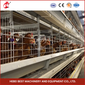 Cage automatique pour <span class=keywords><strong>poules</strong></span> pondeuses cages <span class=keywords><strong>poulailler</strong></span> pour 20000 <span class=keywords><strong>poules</strong></span> ferme avicole branche du Nigeria - Product Image 5