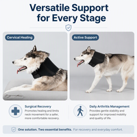 Collier cervical réglable PETSGUARD pour chien avec charnière métallique, soulagement de la douleur, qualité vétérinaire, durable et écologique