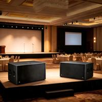 Système audio de scène professionnel LEON AUDIO IMPACTO-218SUB, double caisson de basses de 18 pouces, actif, en bois, avec une puissance de pointe de 8000 W