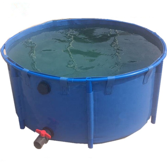 China Hot Sale  1000 L Plastic Fish tank  Flexible Koi Fish  Pond