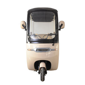 Remorque de transport ouverte en acier personnalisable <span class=keywords><strong>pour</strong></span> trois personnes, abri contre la pluie, <span class=keywords><strong>pour</strong></span> personnes âgées et handicapées, transport urbain, tricycle électrique - Product Image 5
