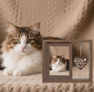 Cadre photo pour animaux de compagnie <span class=keywords><strong>en</strong></span> <span class=keywords><strong>bois</strong></span> moderne double face avec inscription DIY <span class=keywords><strong>en</strong></span> forme de cœur pour chien et chat - Product Image 6
