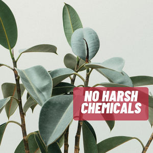 Tabletas de vitamina B5 y BIOTINA de alta calidad, marca privada OEM/ODM, para aumentar la energía y mejorar la salud de la piel - Product Image 4