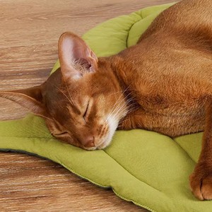 Coussin pour animaux de compagnie multifonction en forme de feuille, tapis pour chat et chien, tapis de sol pour chat, tapis de couchage confortable et doux pour animaux de compagnie, 100 % coton - Product Image 4