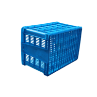 Nexara Xs700 Extra Dikke Hot Selling Logistiek Plastic Stapelbare Groente Fruit Omzet Mand Voor Opslag