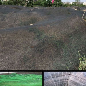 <span class=keywords><strong>Malla</strong></span> <span class=keywords><strong>de</strong></span> <span class=keywords><strong>Sombra</strong></span> <span class=keywords><strong>para</strong></span> Jardinería al Mejor <span class=keywords><strong>Precio</strong></span>, Mallas <span class=keywords><strong>de</strong></span> <span class=keywords><strong>Sombra</strong></span> <span class=keywords><strong>para</strong></span> Camas <span class=keywords><strong>de</strong></span> Jardín, <span class=keywords><strong>Malla</strong></span> <span class=keywords><strong>de</strong></span> <span class=keywords><strong>Sombra</strong></span> Verde del 55% al 60% <span class=keywords><strong>para</strong></span> Plantas, <span class=keywords><strong>para</strong></span> Casa y Granja - Product Image 5