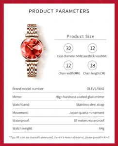 <span class=keywords><strong>Montre</strong></span> <span class=keywords><strong>Femme</strong></span> à <span class=keywords><strong>Prix</strong></span> Bas et Haute Qualité, Luxe en Or Rose Acier Inoxydable, <span class=keywords><strong>Montre</strong></span> Étanche Élégante pour <span class=keywords><strong>Femme</strong></span> - Product Image 6