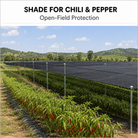 Filet d'ombrage robuste en HDPE tricoté warp, résistant aux UV, 90 GSM, 30%-90% d'ombrage, pour serre, protection des cultures de poivrons et légumes